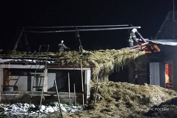 От пожара в Палехском районе телята и коровы не пострадали